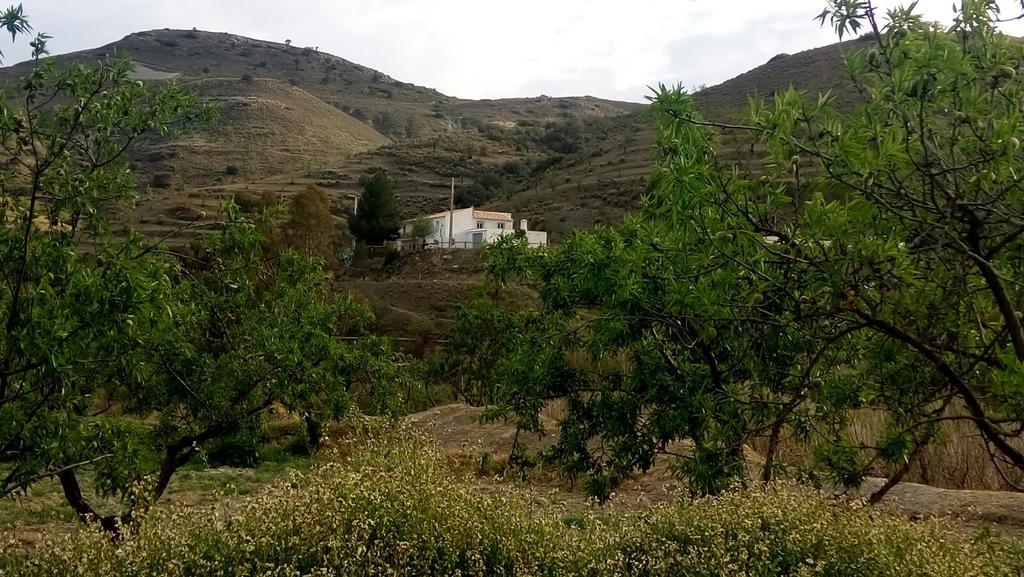 Cortijo Claudia Guest House Taberno Eksteriør bilde